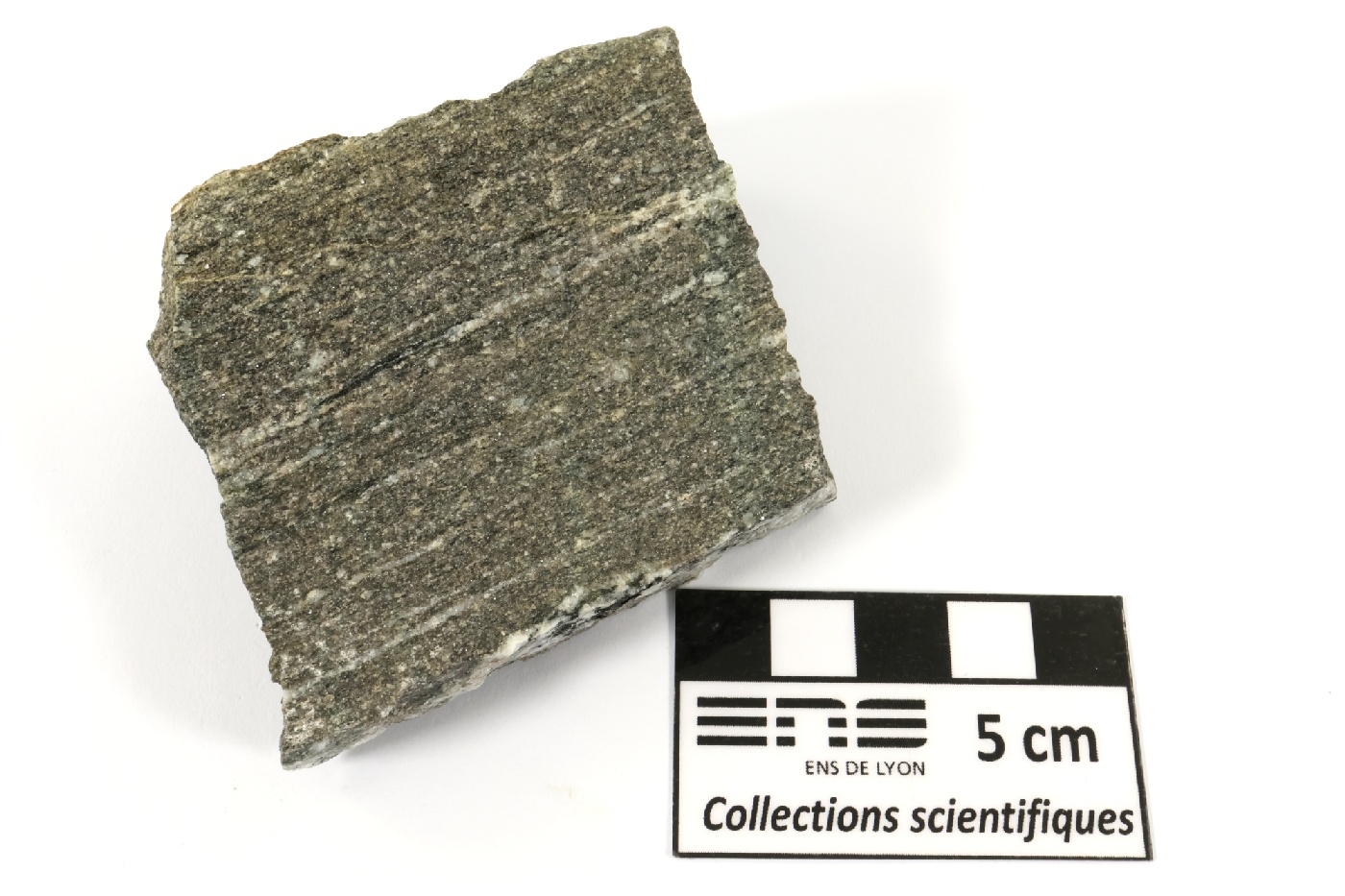 Gneiss amphibolitique Gneiss amphibolitique Vosges Sainte-marie-aux-mines carrieres de Fertrupt